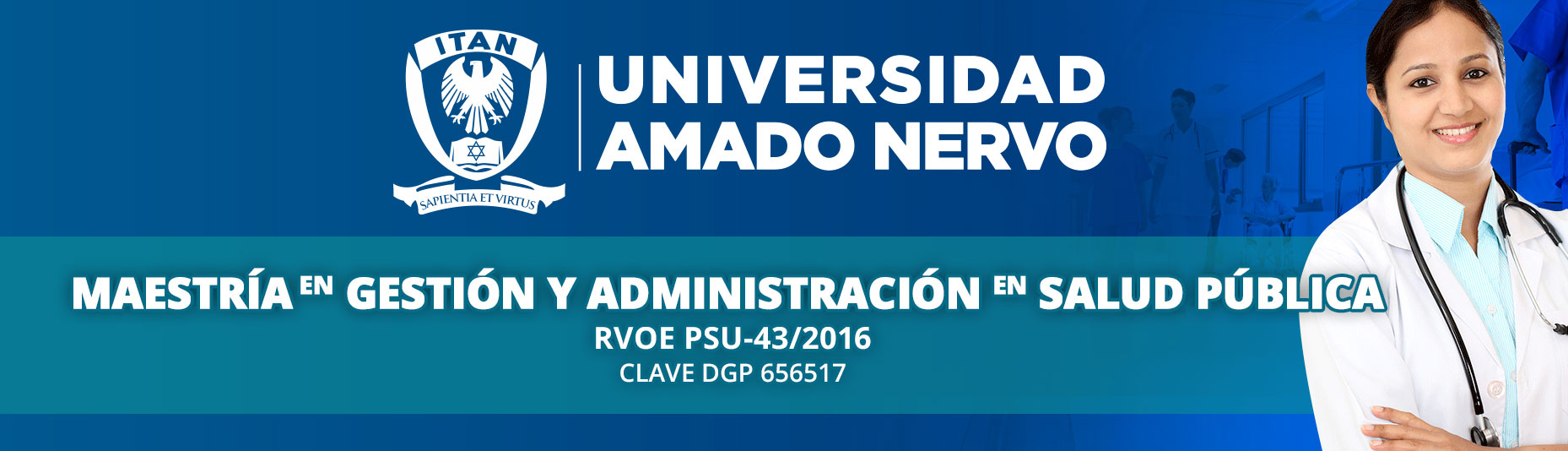 maestria en gestion